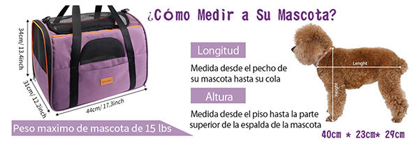 Cómo medir a tu perro